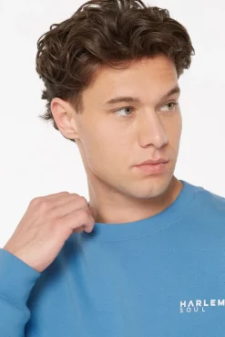 AD-AM Sweatshirt Unisex electric sky