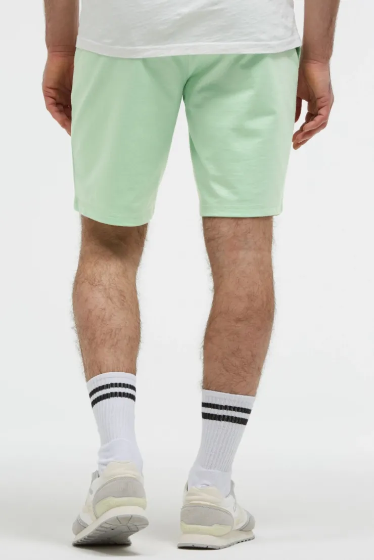 Basic Sweatshorts mit Label Print light mint