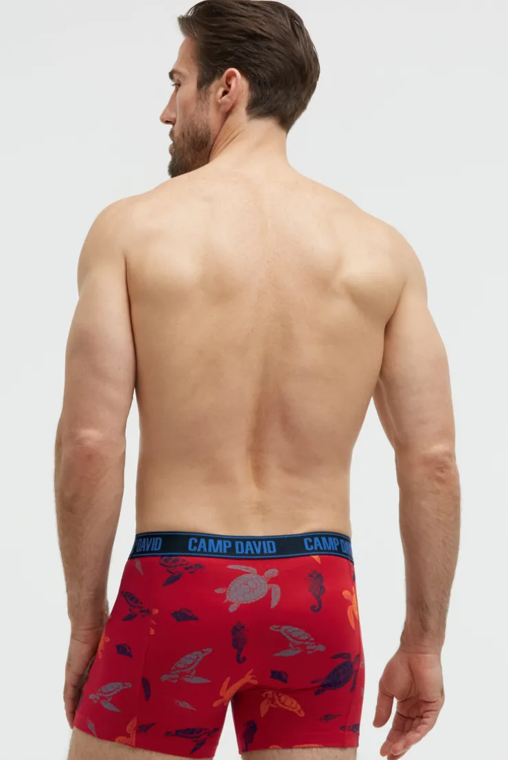 Boxershorts mit All Over Print, 2er-Pack navy / red