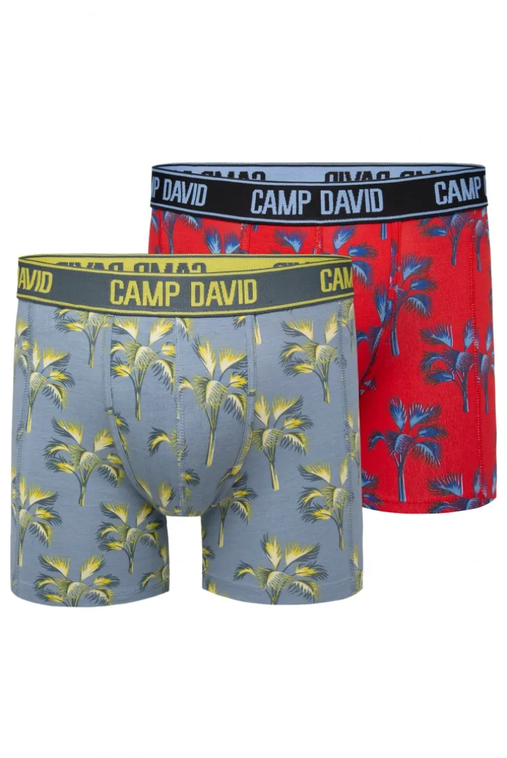 Boxershorts mit All Over Print, 2er-Pack surf grey / red