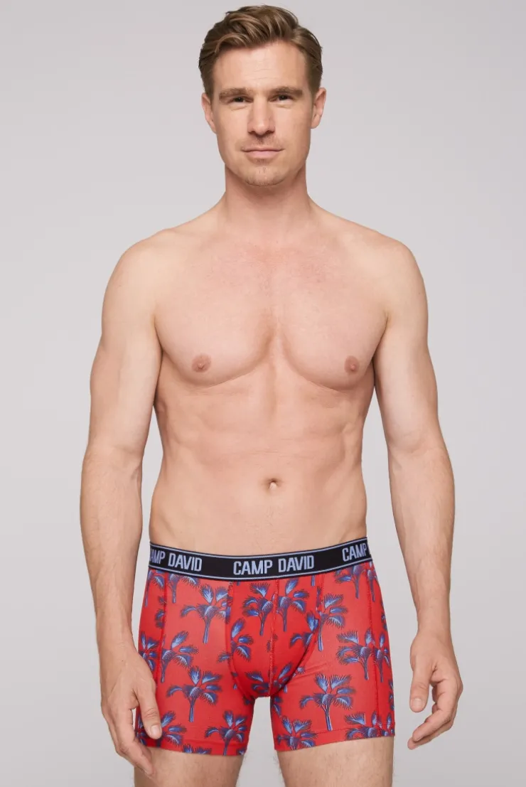 Boxershorts mit All Over Print, 2er-Pack surf grey / red
