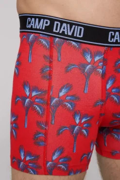 Boxershorts mit All Over Print, 2er-Pack surf grey / red