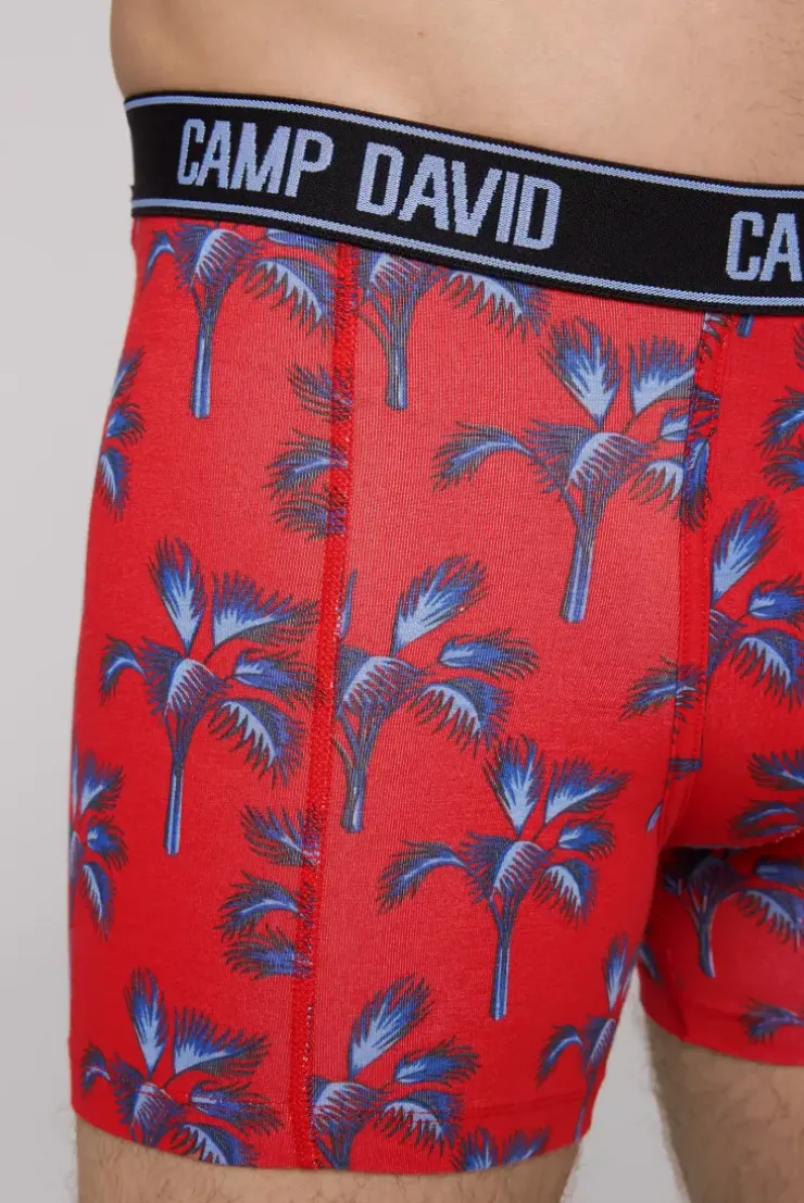 Boxershorts mit All Over Print, 2er-Pack surf grey / red