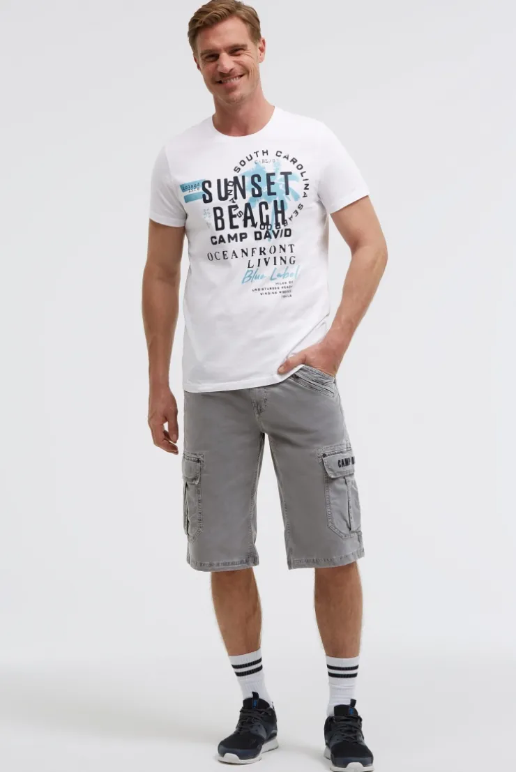 Cargo Shorts mit 3D-Logo-Stickerei grey blue | S