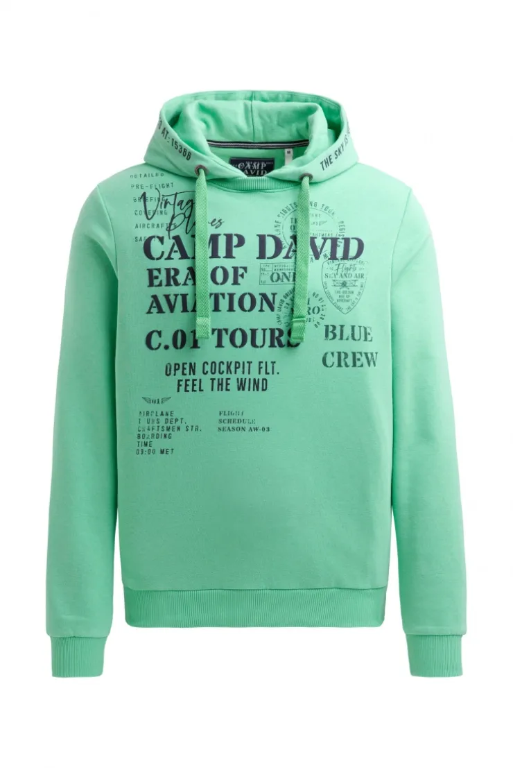 Hoodie mit Puffprint flight green