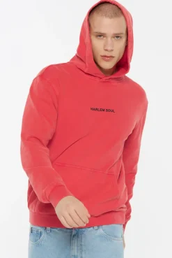 MON-TEL Hoodie printed glory