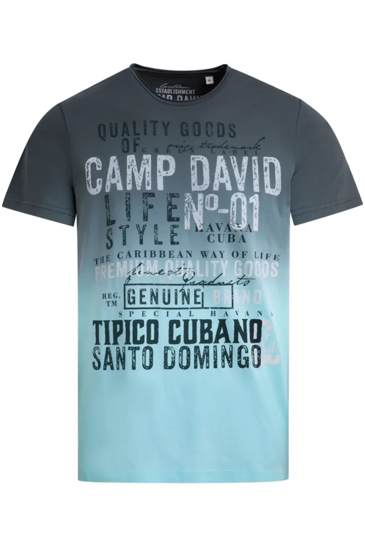T-Shirt Dip Dye mit Vintage Print green shadow